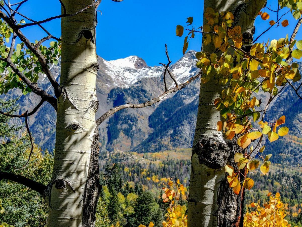 Cascade Village 301, Durango Co Exteriér fotografie